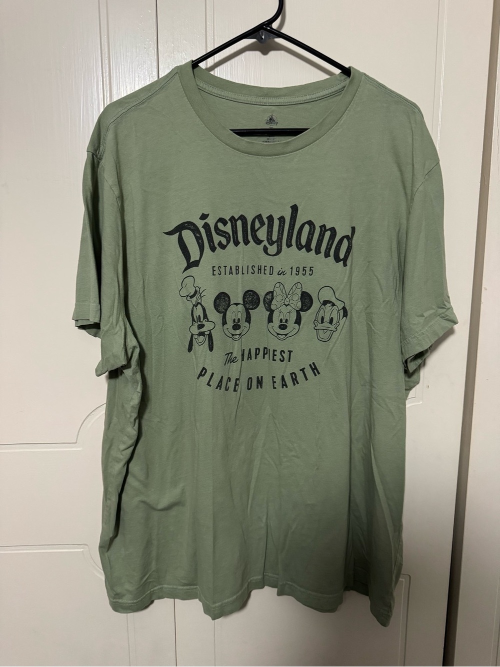 Disney Sage Green Graphic Tee